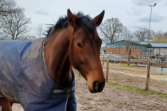 Geesthof